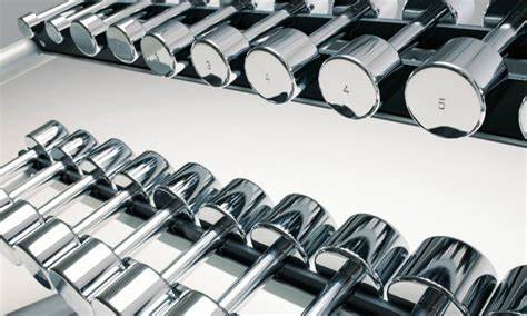 technogym chrome dumbells 1kg t/m 10 kg inclusief rack